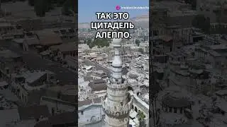 Топ факт об Алеппо  #facts #fun #science #funny #interestingfacts #interesting