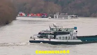 Es ist mal wieder soweit Euer Rheingold hat Schiffe für euch bereit! Nov 2025 Ship Spotting Germany 