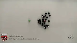 Demonstrations of Kilobot collective behaviors on up to 29 robots