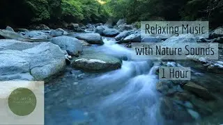 Relaxing Music with Nature Sounds - Soft Music for Relaxing - The Art of Meditation
