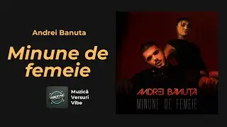 VibeSync Lyrics | Muzică, Versuri, Vibe!