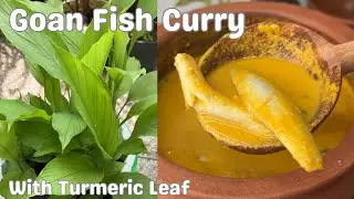 Goan Fish Curry with Turmeric Leaf  Recipe | Vellyachi Kodi | Anchovies / Silver Fish Curry