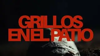 Faruz Feet - Grillos En El Patio (Visualizer)
