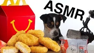 ASMR HAPPY MEAL HAPPY DOG