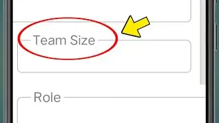 What does Team Size mean? | What to enter in Team Size