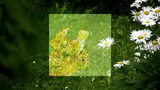 Juca - quiet alley (Official Audio)