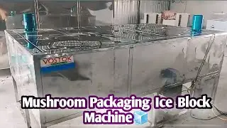 Mushroom packaging ice block machine | Vostok industries ice machine 🧊 || English ||#icefactory #ice