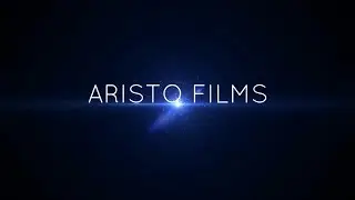 BMW e39/ ARISTO films