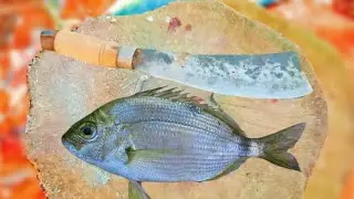 Annular seabream Fish Cutting Skills in Fish Market | Expert Fish Cutting Skills | Fish Unlimited