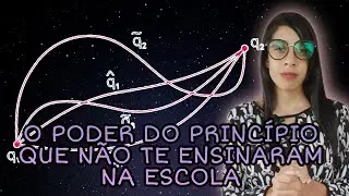 VOCÊ NÃO PRECISA DAS LEIS DE NEWTON PARA ESTUDAR FÍSICA - Entenda o princípio da mínima ação