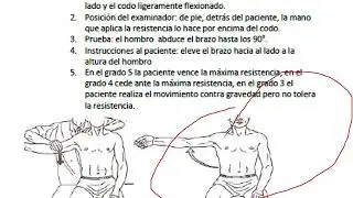 EVALUACION MUSCULAR HOMBRO SEGUN DANIELS Y KENDALL