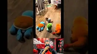 Choosing first Pok&eacute;mon #pokemon #viral #weeb #reaction #pokemonfan #pikachu