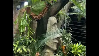 Gardenworld Collectors Corner w Harry
