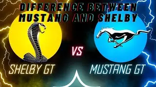 The Difference between Mustang GT and Shelby GT car #mustanggt # #trending #information #knowledge