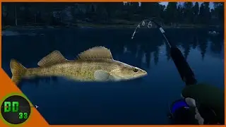 We Had So Much Fun Catching Big Walleye! The Angler COTW