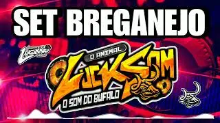 Set Breganejo - Baile Da Saudade - As Dan&ccedil;antes - Dj Luciano Press&atilde;o #bailedasaudade #sertanejoraiz