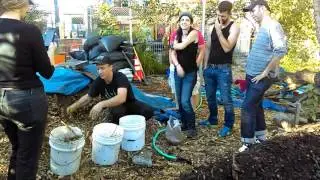 Growing King Stropharia in a bucket - Radical Mycology