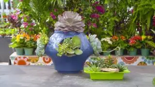 Adding Succulents with TERRA Featuring Carson Arthur