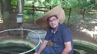 CRIA DE PECES SIN RECAMBIO DE AGUA II