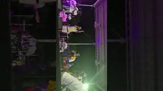 Backyard Band's Epic Performance 