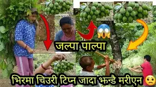 village environment life | palpa jalpa vlog #viral #youtube #vlog #video #villagelife #viralvideo