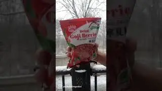 Growing grocery store bought goji berry!