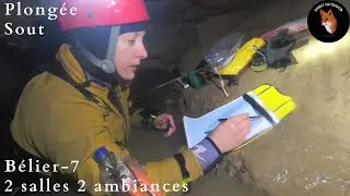 Spéléo Plongée - Belier 7 - 2 salles 2 ambiances #cave #science #nature