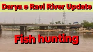Fish Hunting Daray Ravi River Lahore January 26, 2026