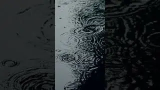 Relaxing Sound of Rain Puddles Light Rain and Rain Drops Falling