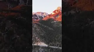 Exploring the Beauty of Mount Charleston, Nevada! #MountCharleston #NevadaAdventures