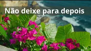 Não deixe para depois - Momento Espírita