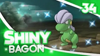 Pokemon [ORAS] Shiny Hunting - #34 - 85 DexNav Encounters SHINY BAGON!