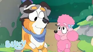 Ni&ntilde;as salvajes | Serie 3 | Bluey Espa&ntilde;ol Canal Oficial