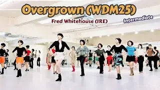 Overgrown (WDM25) Line Dance || Intermediate || Fred Whitehouse || 토요동호회 1.3주 고급반 