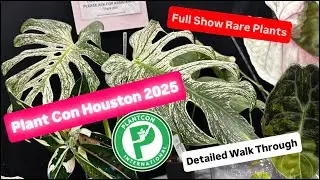 Plant Con Houston 2025 Full Show Rare and Variegated Plants Day 1 Part 2 Houseplants