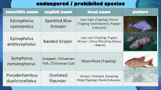 Grade 8 TLE (AFA)- 2nd Quarter; Lesson 3 (Day 4) SUB-TOPIC: Species of Fish in the Philippines #ppt