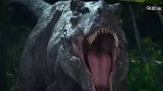 2020 QLED 8K: Official Launch Film - Sound | Samsung