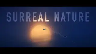 SURREAL NATURE