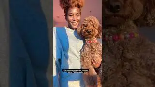 It&rsquo;s true dog owners look like their dog! 🐶 🐾 #mochathemood #losangeles #lookalike #dogmom #dogs