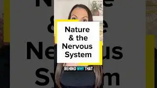 Your Nervous System Responds to Nature