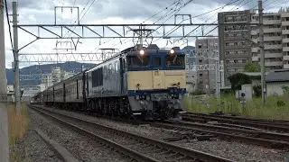 【団臨】夕暮れの中央本線・辰野支線旧型客車で行く日帰り旅　中央本線　2024.9.21