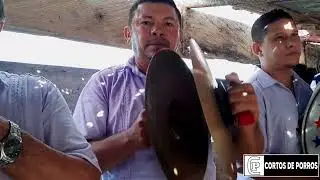 No bebo pero mando - Banda Juvenil De Chochó (En vivo)