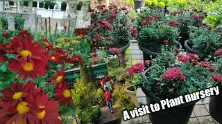 Plant Nursery Visit, Plants price with names //
