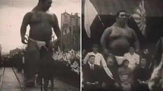 Pictures Of Giants 100% Real Pictures