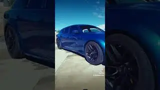 Hellcat Magnum