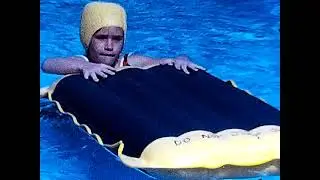 Zoo, Hugo the Killer Whale, Deid Sue Liz swimming lessons Key Biscayne FL