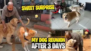 Reunion after 3 days & a sweet surprise 😮🥰 