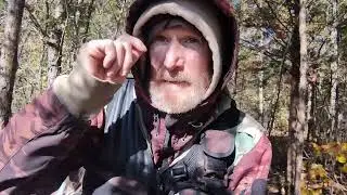 Krazy Red выжил в полярном вихре 11-11-25