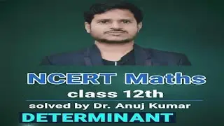 NCERT l Maths Class 12th|Determinant l  Definition | Exercise 4.1 ||PYQs| Lecture 1