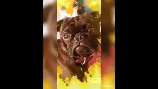 Tyson - R.I.P Video - Leave The Memories Alone